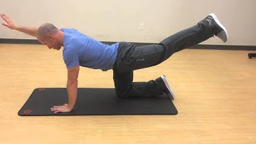 Alternating Superman - Hands and Knees