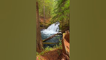 سورة الأحزاب الآية ( 56 )                        Surah Al-Ahzab, verse (56)