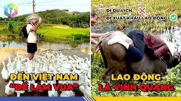 Khách Quốc Tế "PHÁT HOẢNG" Khi Ở Việt Nam: Dải Đất Chữ S Và Phần Còn Lại Của Thế Giới