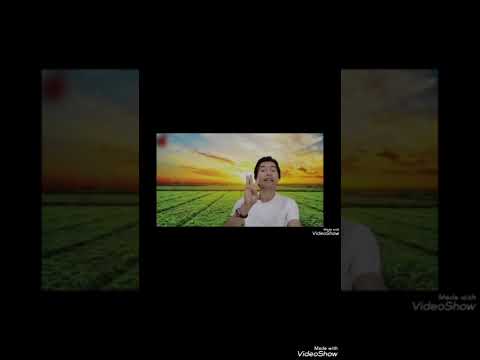 انواع تیغ خ ش خاش