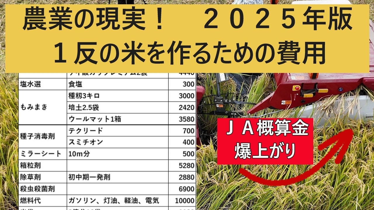 2025 Edition: Costs per Tan of Rice Paddy] Re-edited due to rising