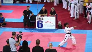 Ti world championships 2013 junior female musical patterns winner