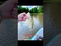 #arkansas #bassfishing #fishing #sponsorbuzz #subscribemychannel #subcribe #youtubeshorts #bass