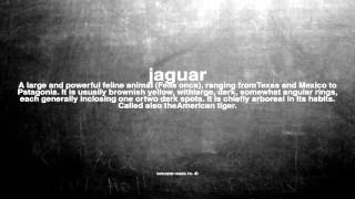 What does jaguar mean