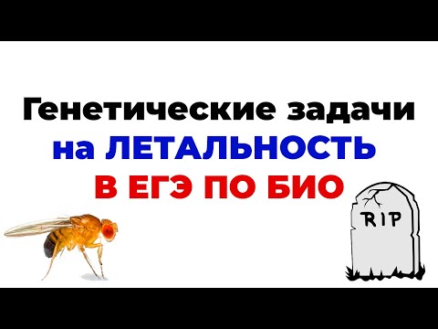 ГЕНЕТИЧЕСКИЕ ЗАДАЧИ НА ЛЕТАЛЬНОСТЬ (6:3:2:1) В ЕГЭ ПО БИОЛОГИИ