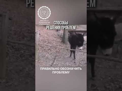 Способы решения проблем #shots #решениепроблемы #проблема #успех #обучениепсихологии #психология