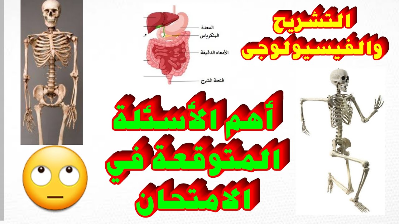 مراجعة عامة تشريح وفيسيولوجى | اولى مدرسة تمريض | أهم الأسئلة المتوقعة في الامتحان | توقعات الامتحان