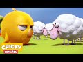 ¿Dónde está Chicky? 2021 | CHICKY Y SUS OVEJAS | Dibujos Animados Para Niños