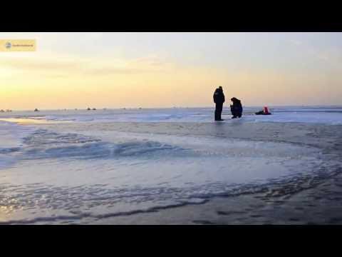 Snowdog-2014: быстро за