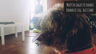 Lagotto Romagnolo e Autismo