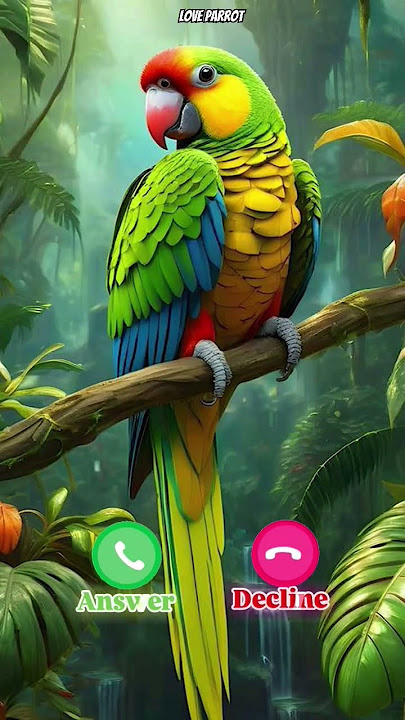 Love parrot #ringtone