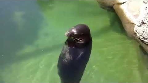 10 Hours Of No Need To Be Upset