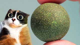 HERE’S WHAT WE BOUGHT ON ALIEXPRESS screenshot 2