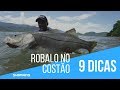 9 dicas para pescar robalões na costeira