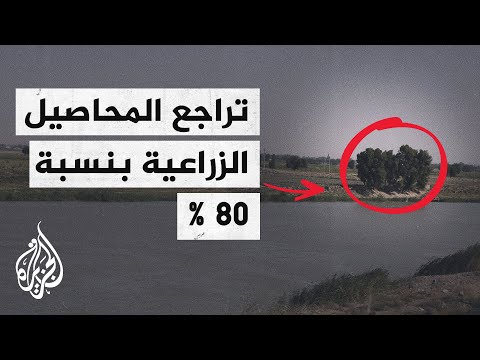 فيديو: أزمة عمرها ثلاث سنوات: المظاهر الرئيسية