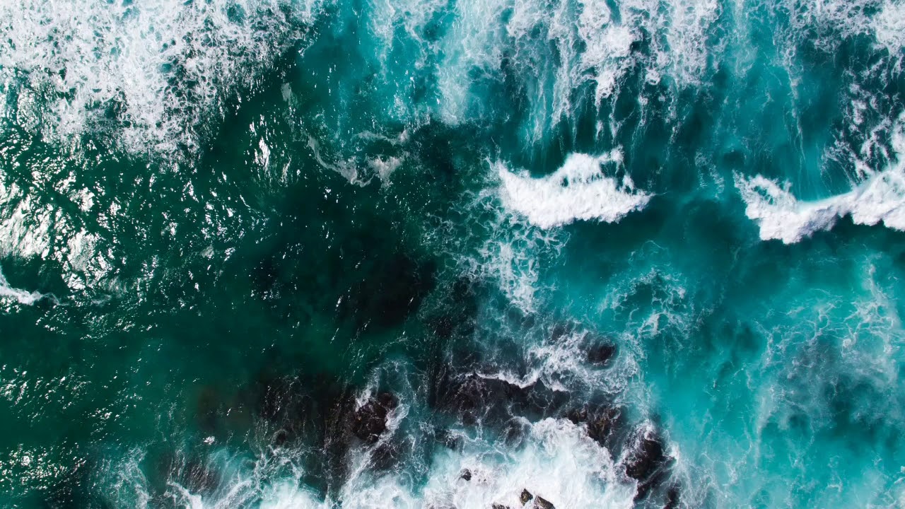 Топ трекич ыз