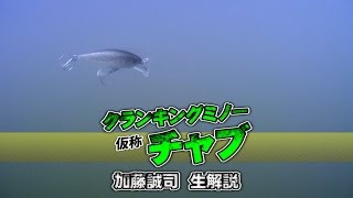 ジャッカル-仮称-チャブル-を加藤誠司が生解説-水中アクション動画あり