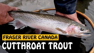 Fraser River's Multi-species Winter Fishery | Fishing with Rod