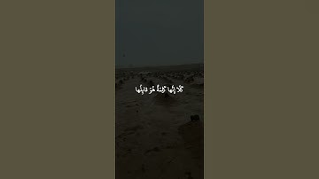 سورة المؤمنون: القارئ اسلام صبحي