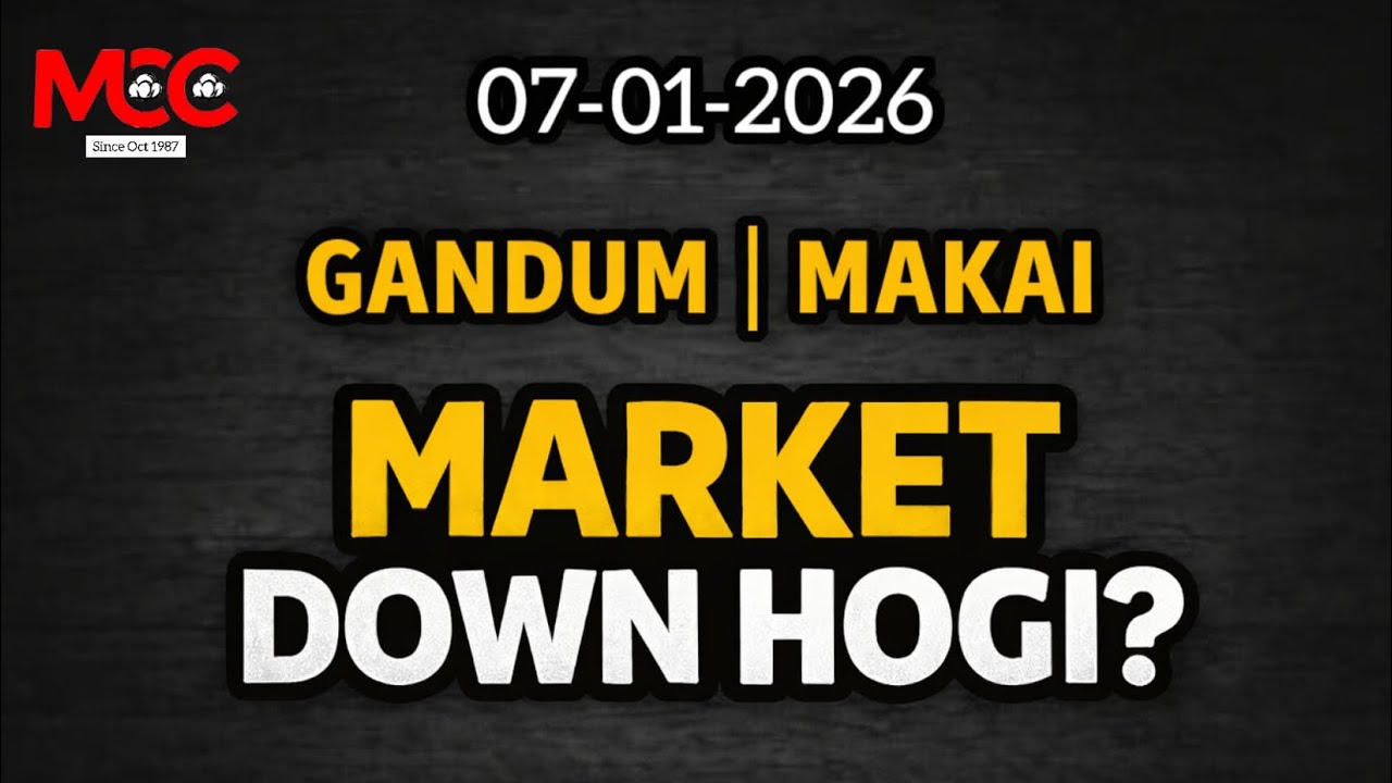 GANDUM | MAKAI Down Hogi ? 🤔 