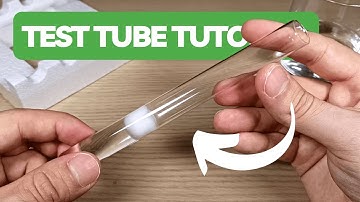 How to make a test tube setup for queen ant tutorial for beginners #tutorial #ants #antscanada