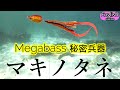 巻くだけ簡単　メガバス　マキノタネ　水中映像　実釣インプレ【ライトショアジギング】
