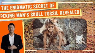 Famous The Enigmatic Secret of Peking Man's Skull Fossil Revealed Wealth