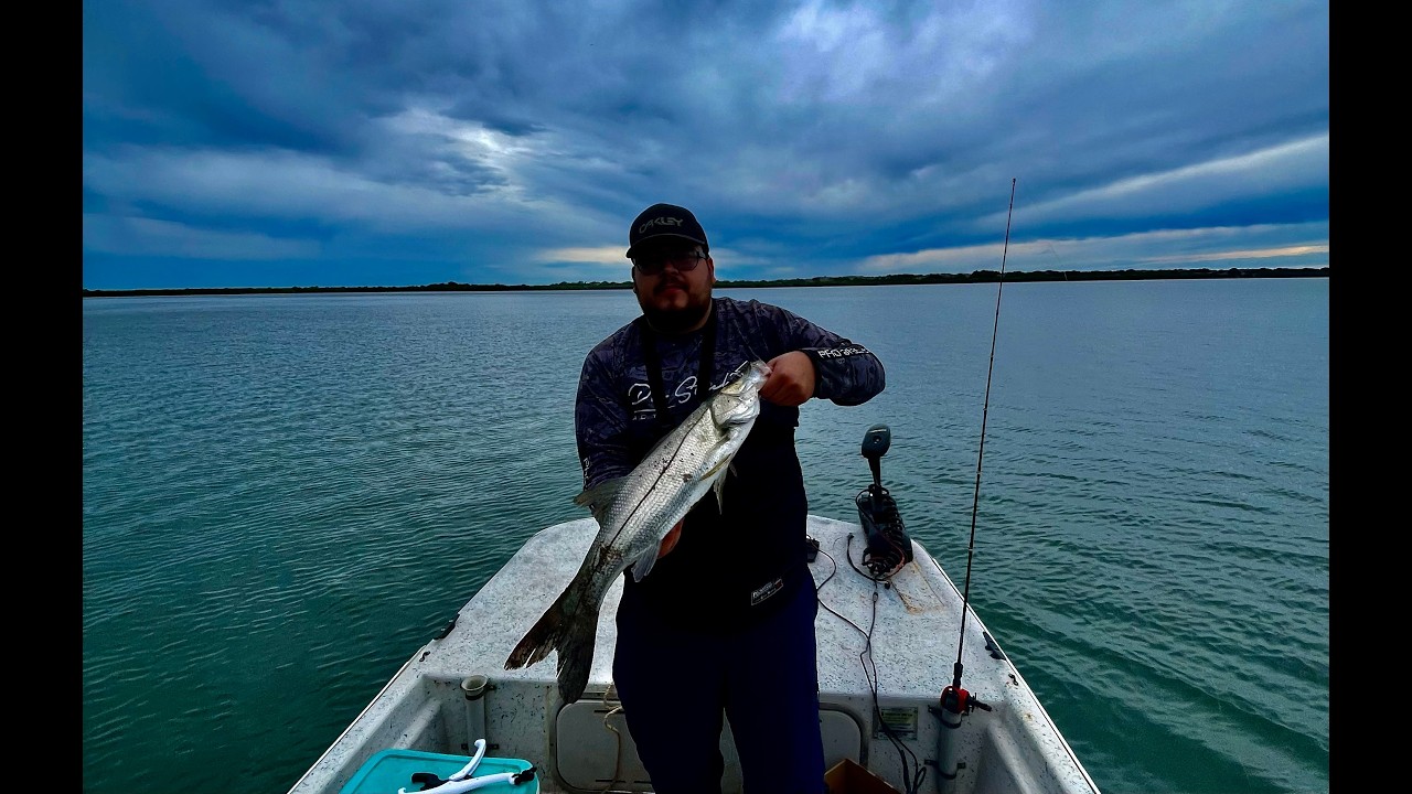 Robalo y Pargos en topolobampo