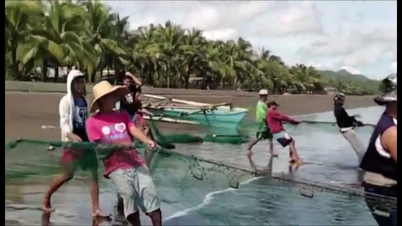 NET FISHING Daily What is Shoreline FISHING? netfishing YouTube