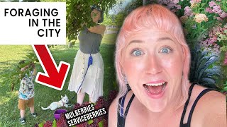 Foraging for Berries in the City (Mulberries and Serviceberries/ Saskatoon Berries)