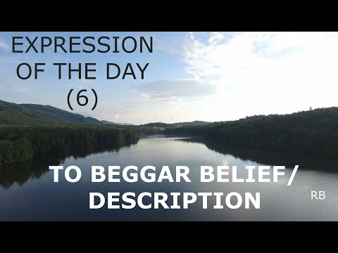 EXPRESSION OF THE DAY (6): TO BEGGAR BELIEF/DESCRIPTION