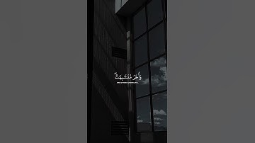 سورة آل عمران ❤️‍🩹 الشیخ عبدالرحمن مسعد #قرآن #allah #allahﷻ #الحمدلله #عبدالرحمن_مسعد #youtube