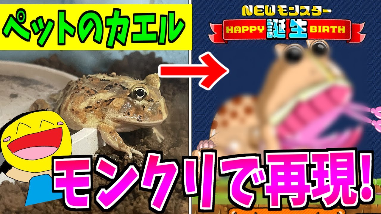 I recreated my pet frog in Monster Creation and it turned out to