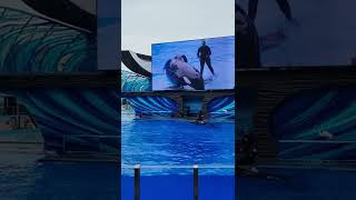 SeaWorld Orlando, Florida 05/20/2022