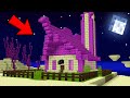 HO COSTRUITO LA MIA BASE NELL'END DELLA BIG VANILLA !