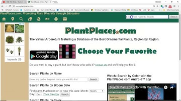 Create DAO interface and DTO in Android Studio 3.0.1