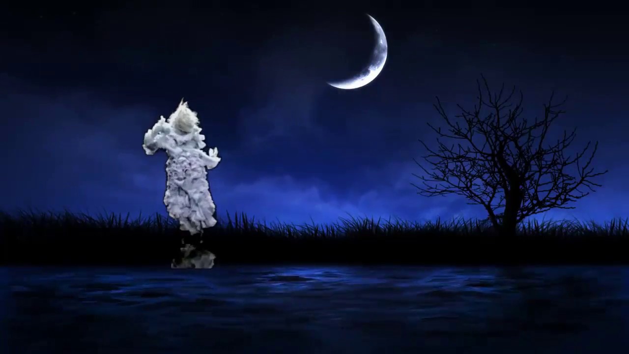 Tumblr Luna Bella