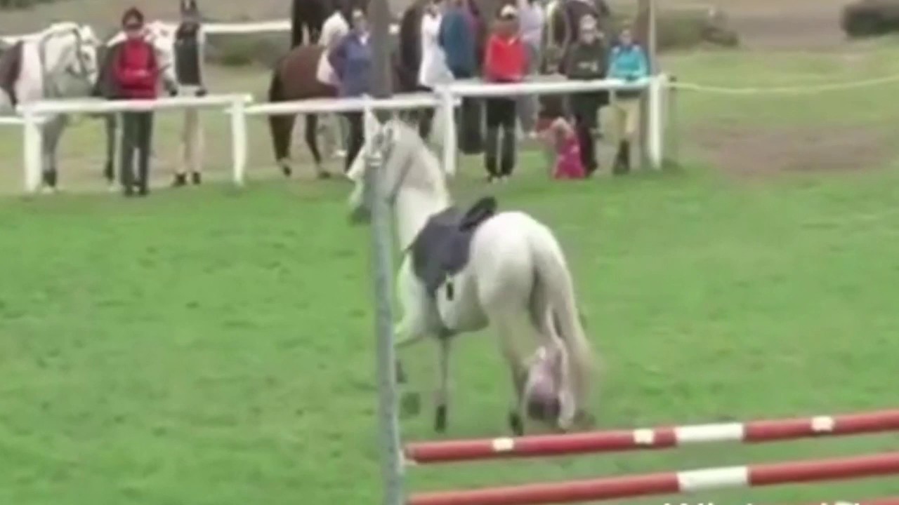 1 Man 1 Horse Video Link