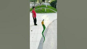 Swimming in like a snake original video of snake funny master in folk special effects