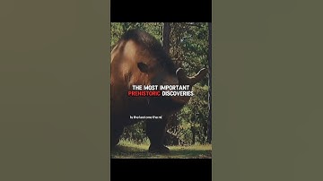 Are these the most important discoveries in history? #prehistoric #history #paleontology #fossil