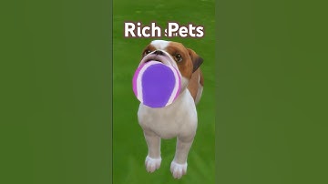 🐶 Pets can make you a lot of money in the Sims 4 - Cats & Dogs EP needed #sims4 #thesims