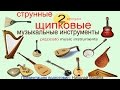 2 Струнные щипковые музыкальные инструменты