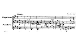 An die Nachtigall, D.196 - F. Schubert (piano / KARAOKE, Accompaniment, Mr, 반주)