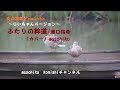 ふたりの絆道/瀬口侑希(カバー)masahiko