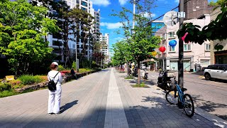연희동 산책, Yeonhui-dong •[4k] Seoul, Korea