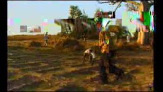 Youssou Ndour baykat