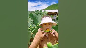 Thumbnail of "Cactus Pear Magic! 🌵🍐 Unbelievable Prickly Pear Harvest!"  #cactus #pear #shortvideo #shorts