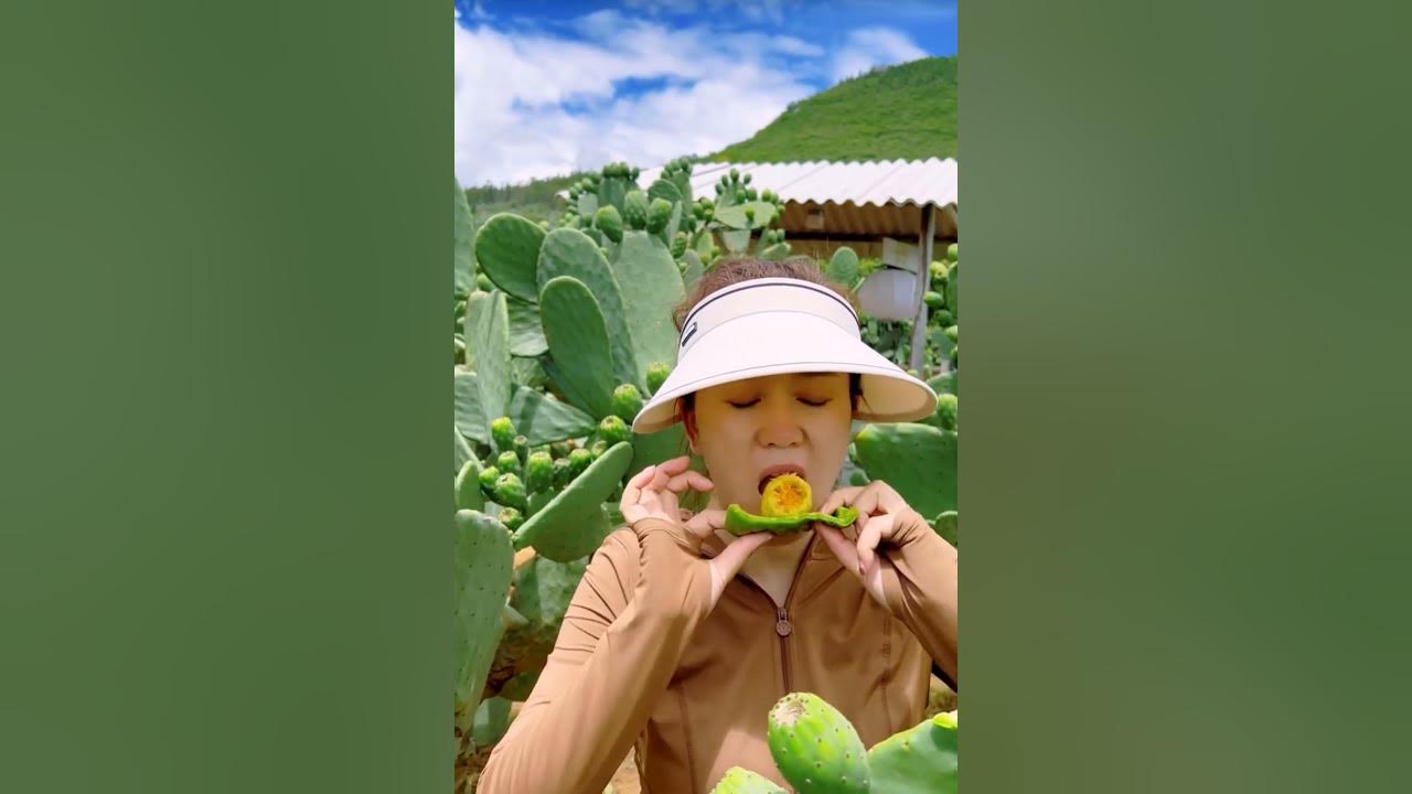 "Cactus Pear Magic! 🌵🍐 Unbelievable Prickly Pear Harvest!"  #cactus #pear #shortvideo #shorts