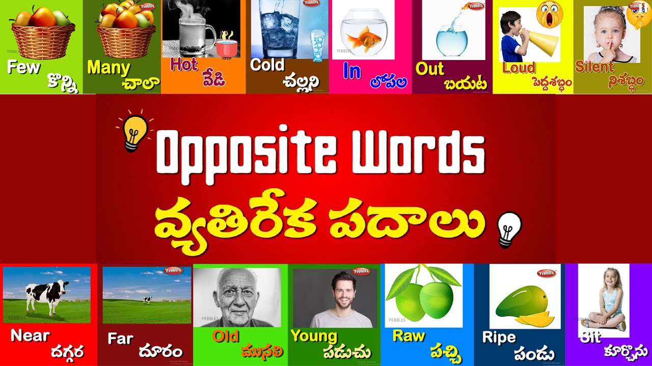 OPPOSITE WORDS Learn Telugu Grammar | వ్యతిరేక పదాలు |... - youtube