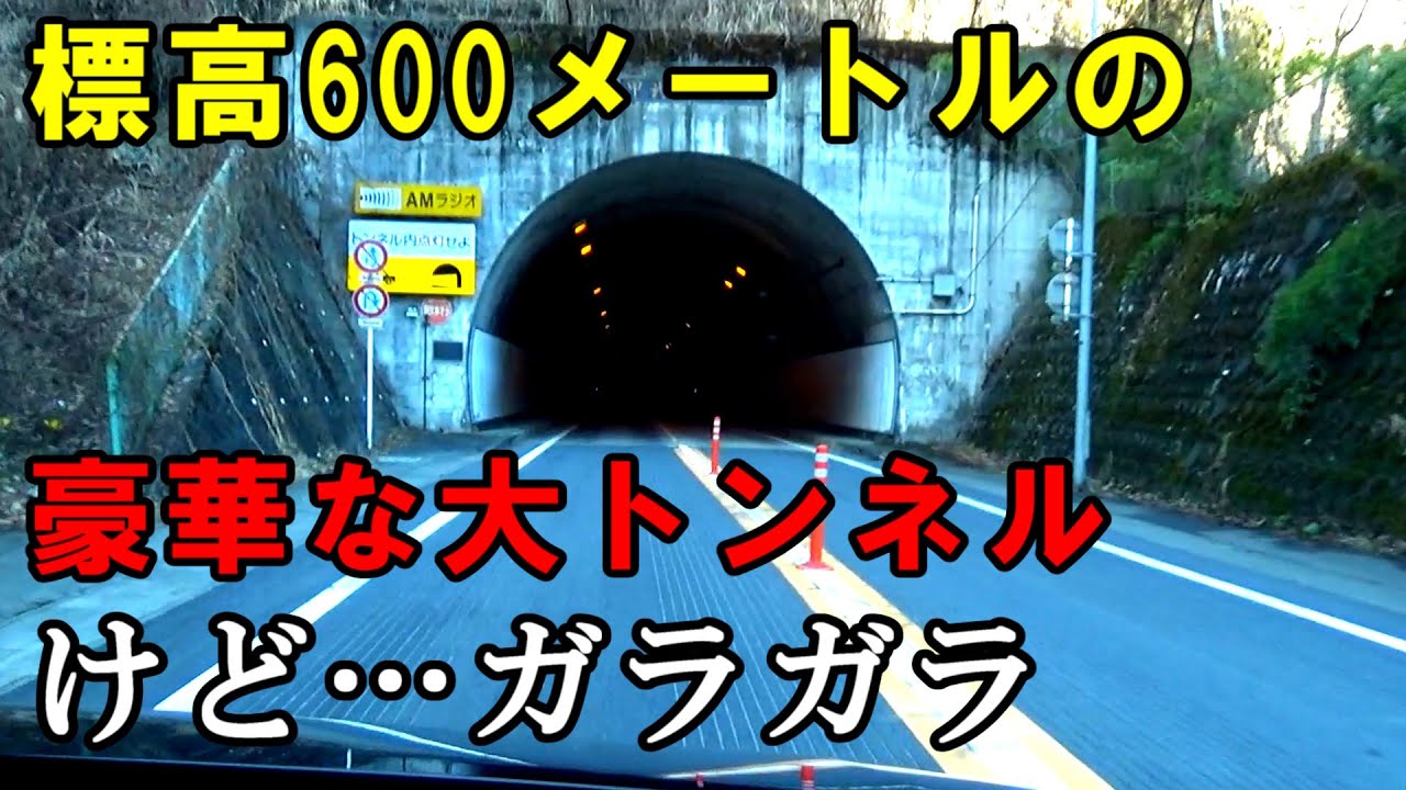【ドマイナー】知らない人が多い山梨→東京直通ルートをご紹介します